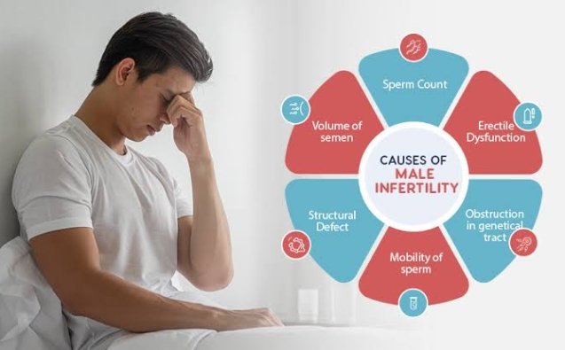 WhatsApp Image 2024-08-26 at 5.52.52 PM